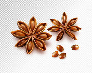 Star anise and seeds isolated on transparent background. Quality realistic vector, 3d illustration