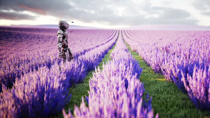 Fototapeta na wymiar Military robot, cyborg with gun in lavender field. concept of the future. 3d rendering.