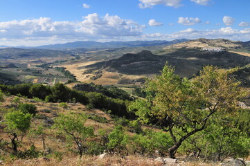 Fototapeta na wymiar Andalusian landscape, olive- and almond-trees, near Moclín, Montes de Granada, Spain