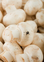  mushrooms
