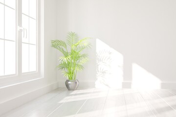 modern empty room with plants interior design. 3D illustration