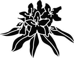 Rhododendron flower icon , vector