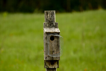 Old wooden bird house