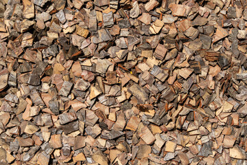 Life hack. Prepared in  boile water pine bark as soil for orchids. A lot cut pieces of pine tree bark wood. Mulch for orchids showing natural  texture.