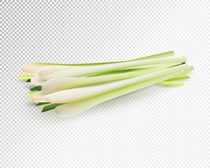 Lemongrass herb vegetable set. Realistic vector on transparent background, 3d illustration