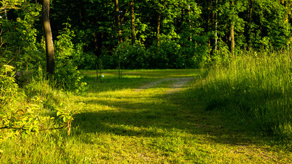 
Landscapes and views in the Botanical Garden in Radzionków. Ready for entry.
