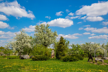 Spring in the city park