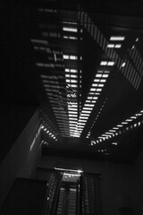 Naklejka premium shadows in black and white