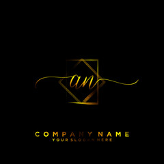AN Initial handwriting logo vector
