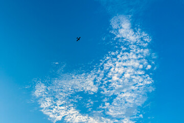 Fototapeta na wymiar a heart-shaped cloud in the blue sky and a plane