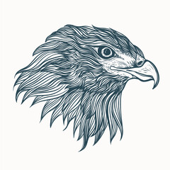 eagle head hand drawn tattoo artwork illustration