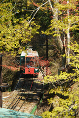 I travel to Japan  and take photo.