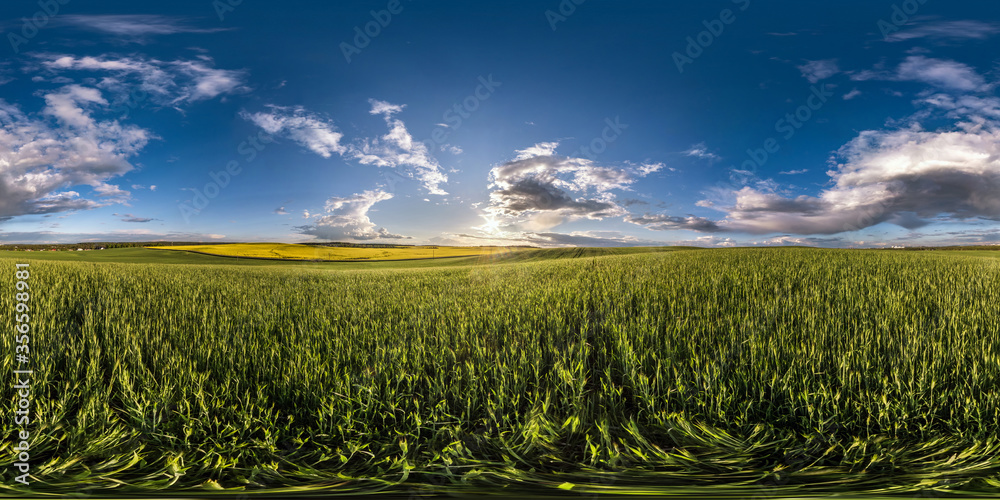 Wall mural full seamless spherical hdri panorama 360 degrees angle view among fields in spring evening with awe