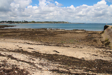 atlantic littoral in le fret in brittany (france)