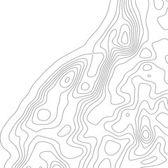 Elevation map. Topographic background. Vector illustretion.