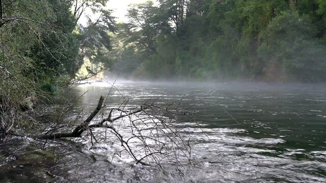 An idyllic and fantasy green scenery with the Caburgua river stream flowing inside an amazing rainforest full of trees during morning time with the morning mist giving us a moody atmosphere background