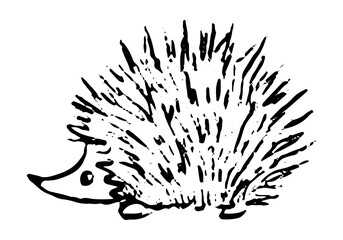 Cute little hedgehog. Hand drawn vector illustration. Doodle, sketching of wild animal. Black contour drawing isolated on white. Primitive style single picture for design, print, card, sticker, poster