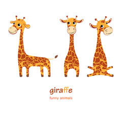 Obraz premium Vector set. Giraffes.