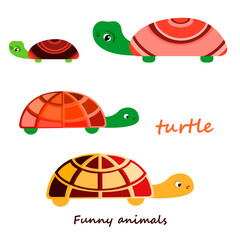Vector illustration of a turtle.