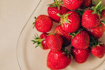closeup ripe strawberries in a transparent plate on a pale pink background