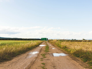 country road in the field after a rainy day