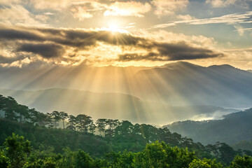 Fototapeta na wymiar Sunrise over hillside a pine forest with long sun rays pass through valley with pines yellow sunny mornings this place more lively, warm and tranquil welcome to beautiful new day