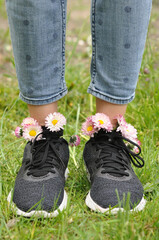 Daisies as an element of decoration of clothes and shoes