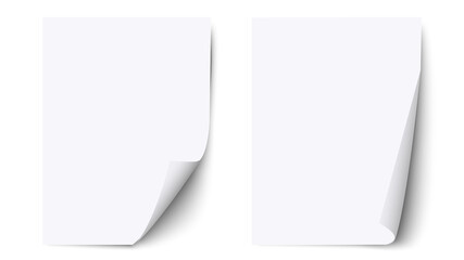 White blank sheet paper with curled corner and shadow, paper sheet  mockups