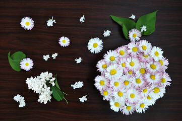 Bouquet of daisies as a perfect home decoration
