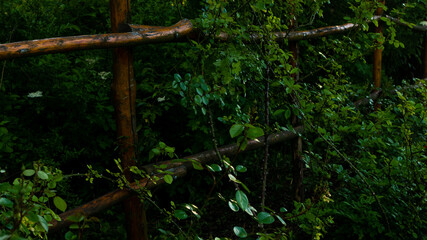 
Landscapes and views in the Botanical Garden in Radzionków. Ready for entry.