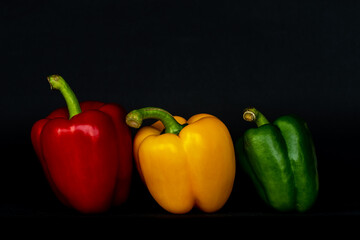 frische Paprika rot gelb grün vor schwarzem Hintergrund