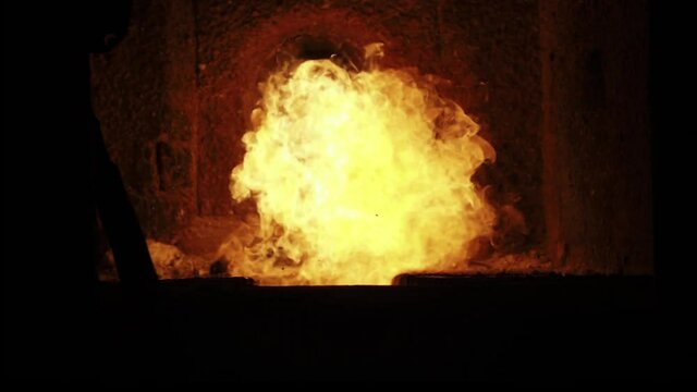 Fire burn to old dog inside funeral pyre in Thai temple.