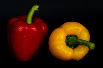 frische reife Paprika mit wassertropfen rot und gelb