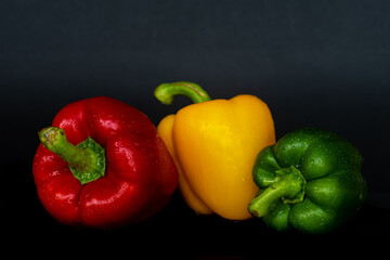 frische Paprika mit Wassertropfen rot gelb grün vor schwarz