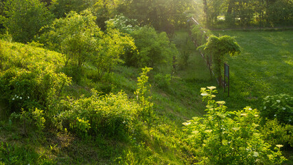 
Landscapes and views in the Botanical Garden in Radzionków. Ready for entry.