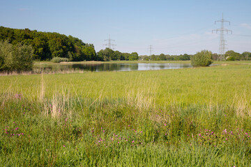 Naturschutzgebiet Pleckenbring, Wickede, Dortmund, Ruhrgebiet, Nordrhein-Westfalen, Deutschland, Europa