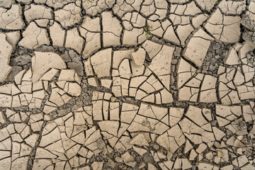 dry cracked earth