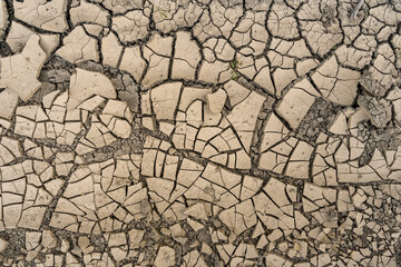 dry cracked earth