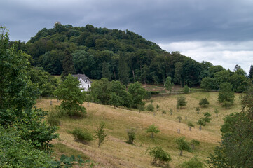 Fototapeta na wymiar Streuobstwiese Siebengebirge