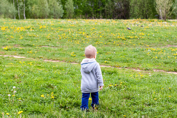 A cheerful kid walks in the field with dandelions. The child is happy to walk. Portrait.