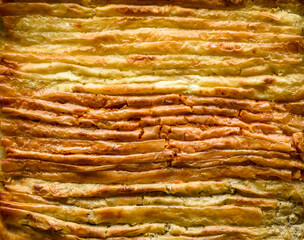 Baked homemade traditional Balkan, Bosnian, Greek, Turkish,  Serbian dish burek.