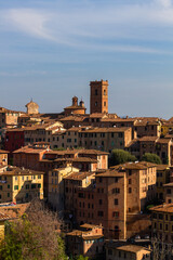 Naklejka premium Streets and buildings in Siena, Italy 