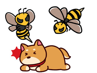 Obraz na płótnie Canvas 危険なスズメバチとペットと柴犬