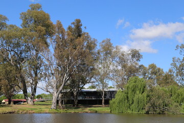Fototapeta na wymiar View across the Broken River towards the Botanical Gardens in Benalla, Victoria, Australia.