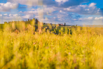 Fototapeta na wymiar Classic Tuscany landscape in summer with green hills, country houses, olive groves and vineyards in the background and blurred grass field in the foreground