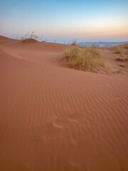 A vertical image of sand dunes in soft light at dusk, with fading footprints in the foreground, located in the Namib Desert, Namibia.