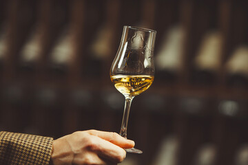 Close up shot of sommelier holding a glass of whiskey and excellent bottles collection on the cellar background.