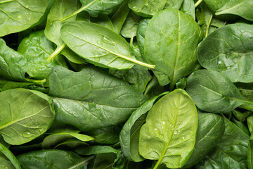 Spinach leaves background. Top view, flat lay