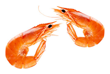 Red cooked prawn or shrimp isolated on white background 