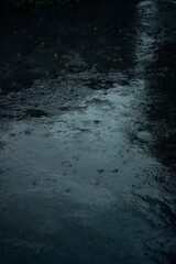 Obraz premium rainy day, raindrops on the asphalt